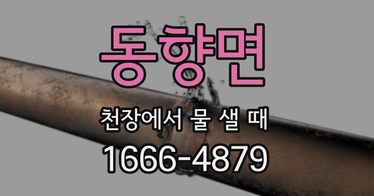 동향면 천장에서 물 샐 때