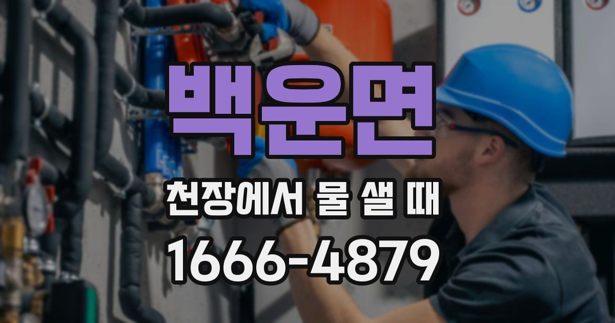 백운면 천장에서 물 샐 때