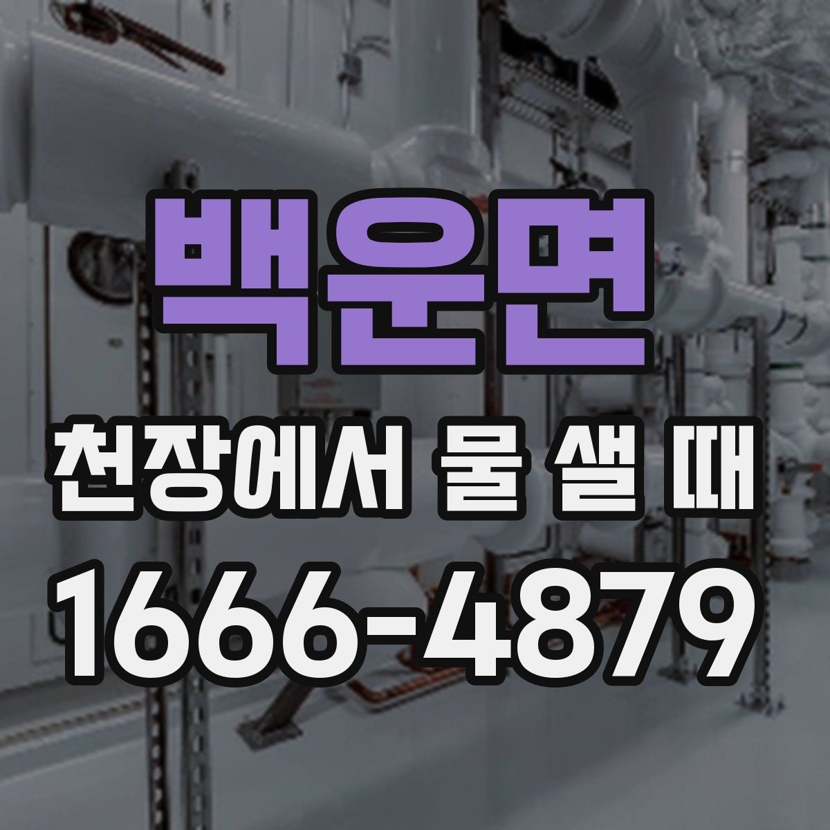 백운면 천장에서 물 샐 때