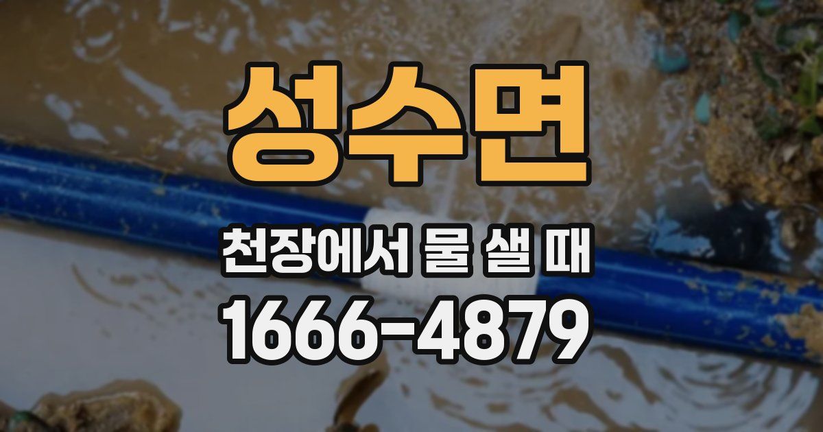 성수면 천장에서 물 샐 때