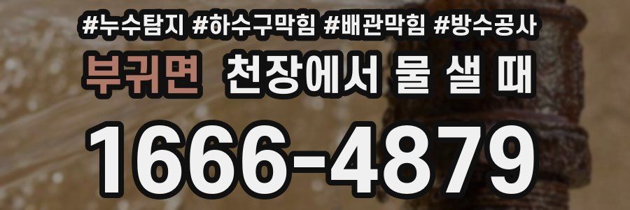 부귀면 천장에서 물 샐 때