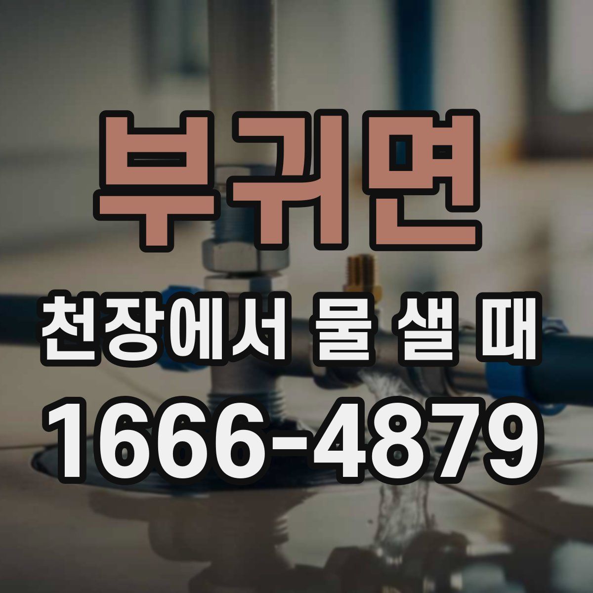 부귀면 천장에서 물 샐 때