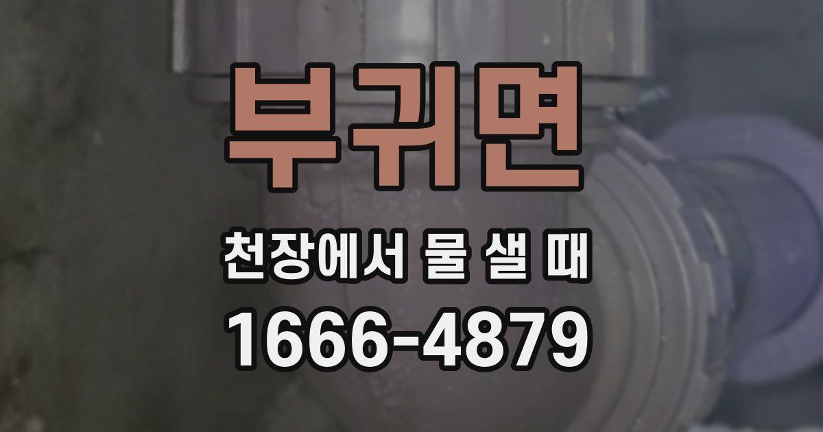 부귀면 천장에서 물 샐 때
