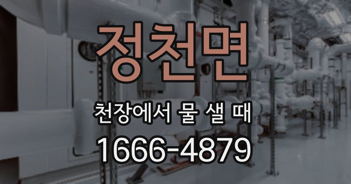 정천면 천장에서 물 샐 때