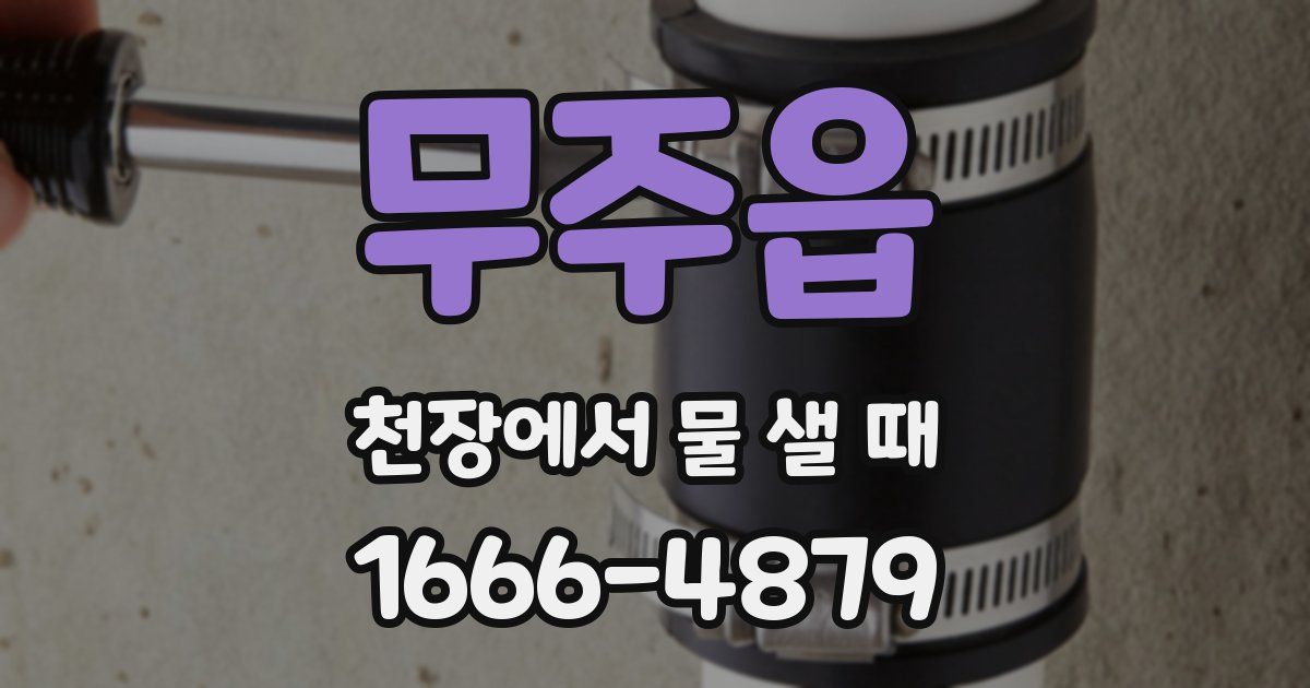 무주읍 천장에서 물 샐 때