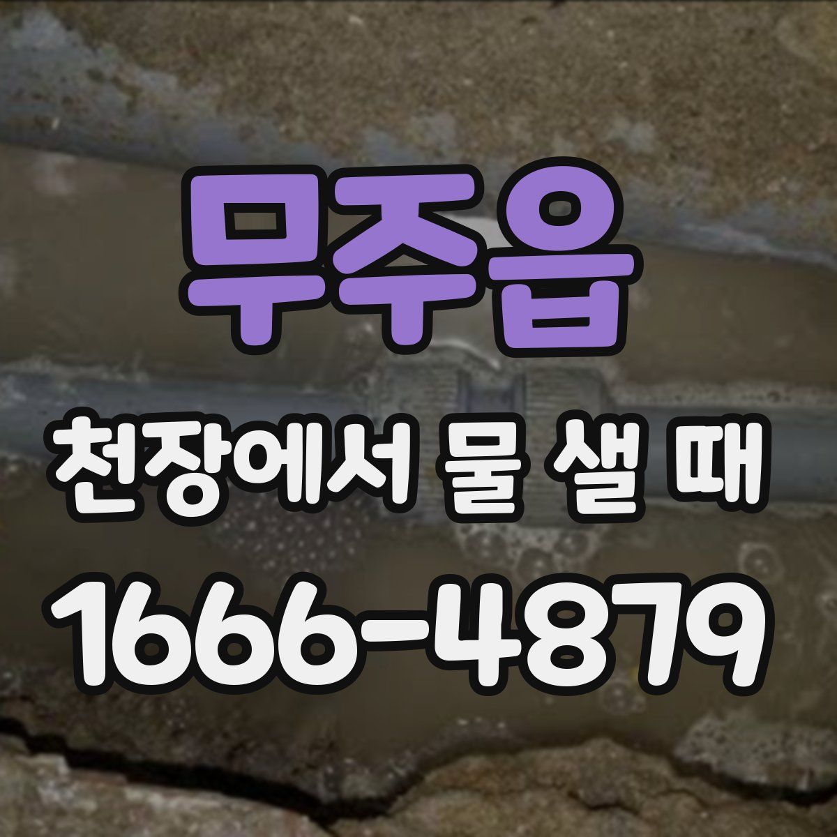 무주읍 천장에서 물 샐 때