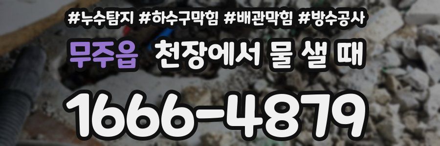 무주읍 천장에서 물 샐 때