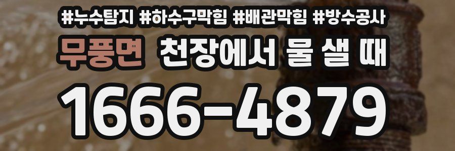 무풍면 천장에서 물 샐 때