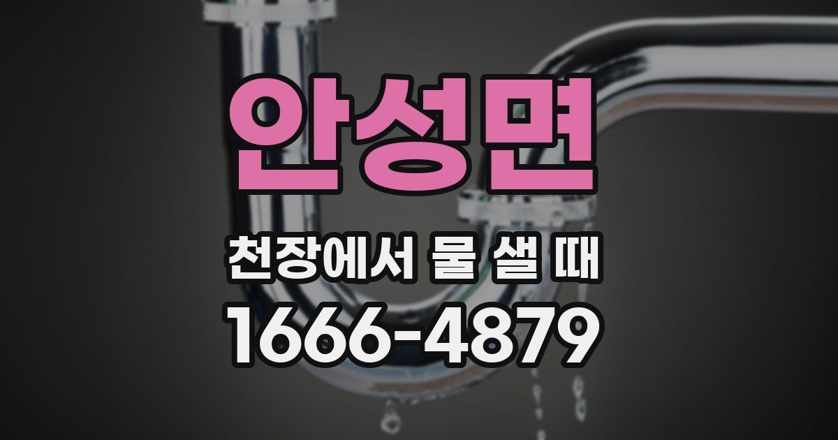 안성면 천장에서 물 샐 때