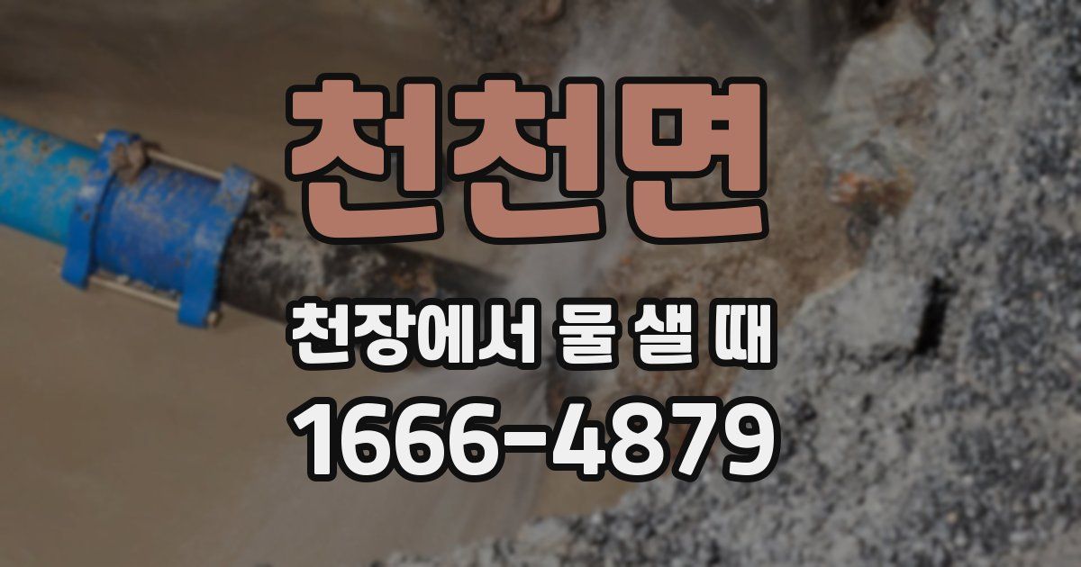 천천면 천장에서 물 샐 때