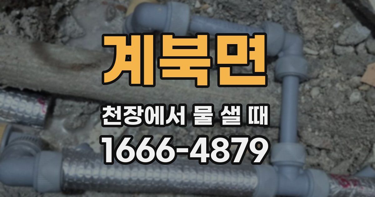 계북면 천장에서 물 샐 때