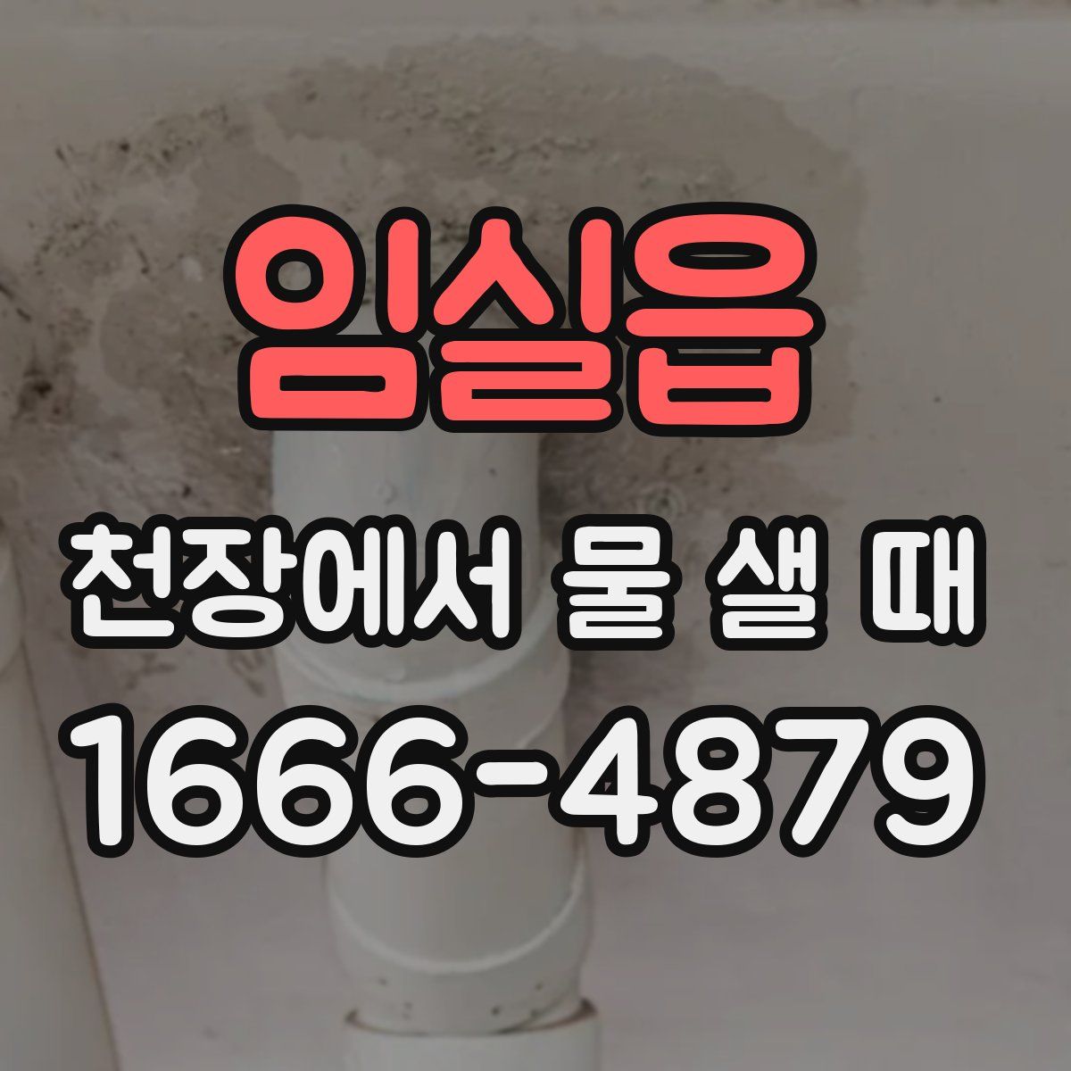 임실읍 천장에서 물 샐 때