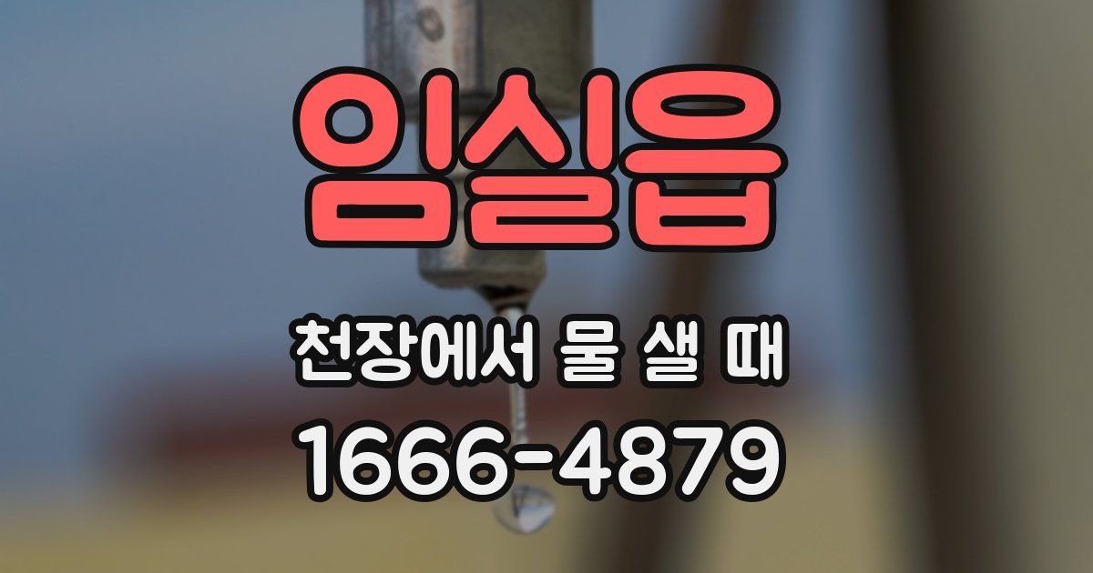 임실읍 천장에서 물 샐 때