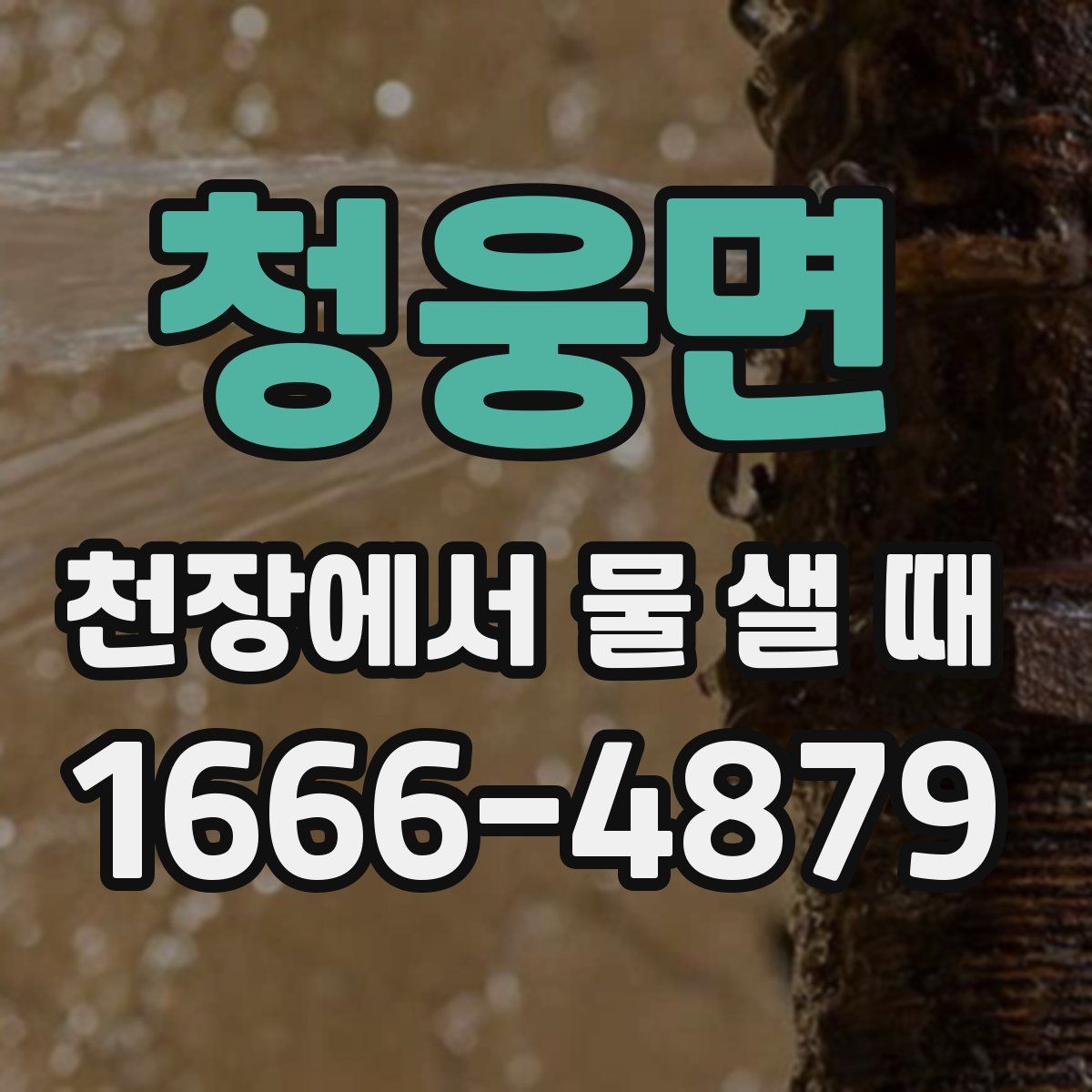 청웅면 천장에서 물 샐 때
