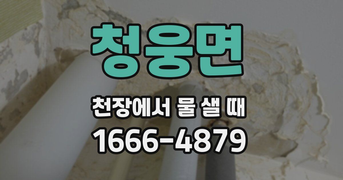 청웅면 천장에서 물 샐 때
