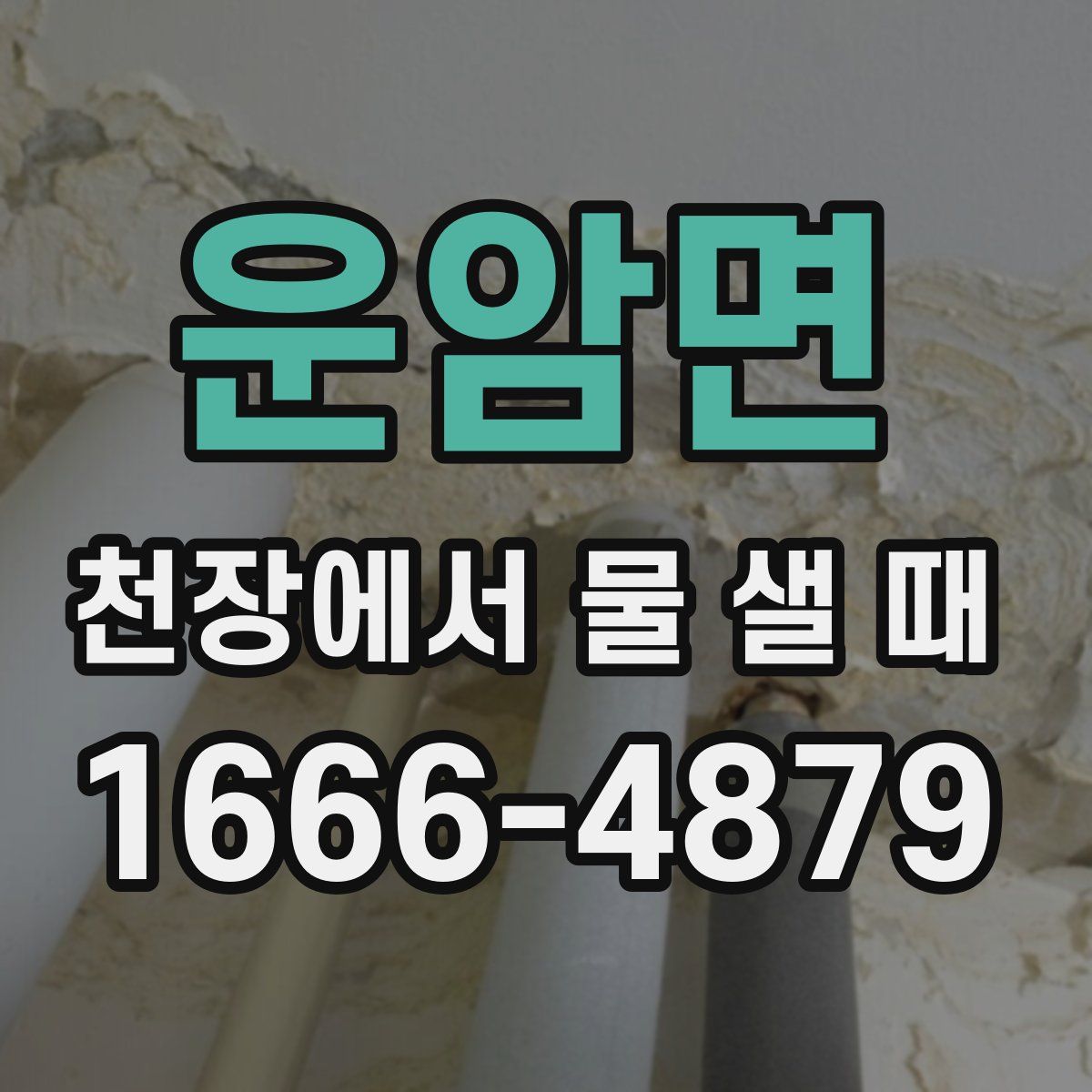 운암면 천장에서 물 샐 때