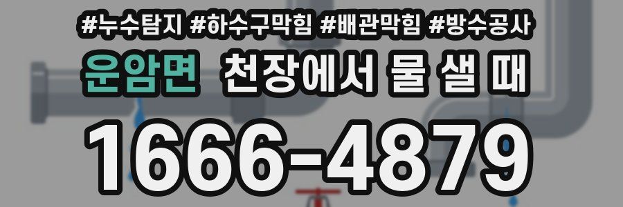 운암면 천장에서 물 샐 때