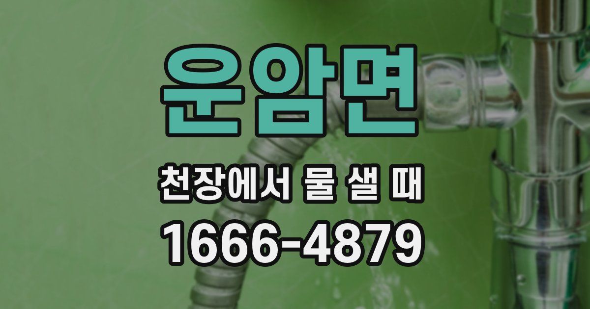 운암면 천장에서 물 샐 때