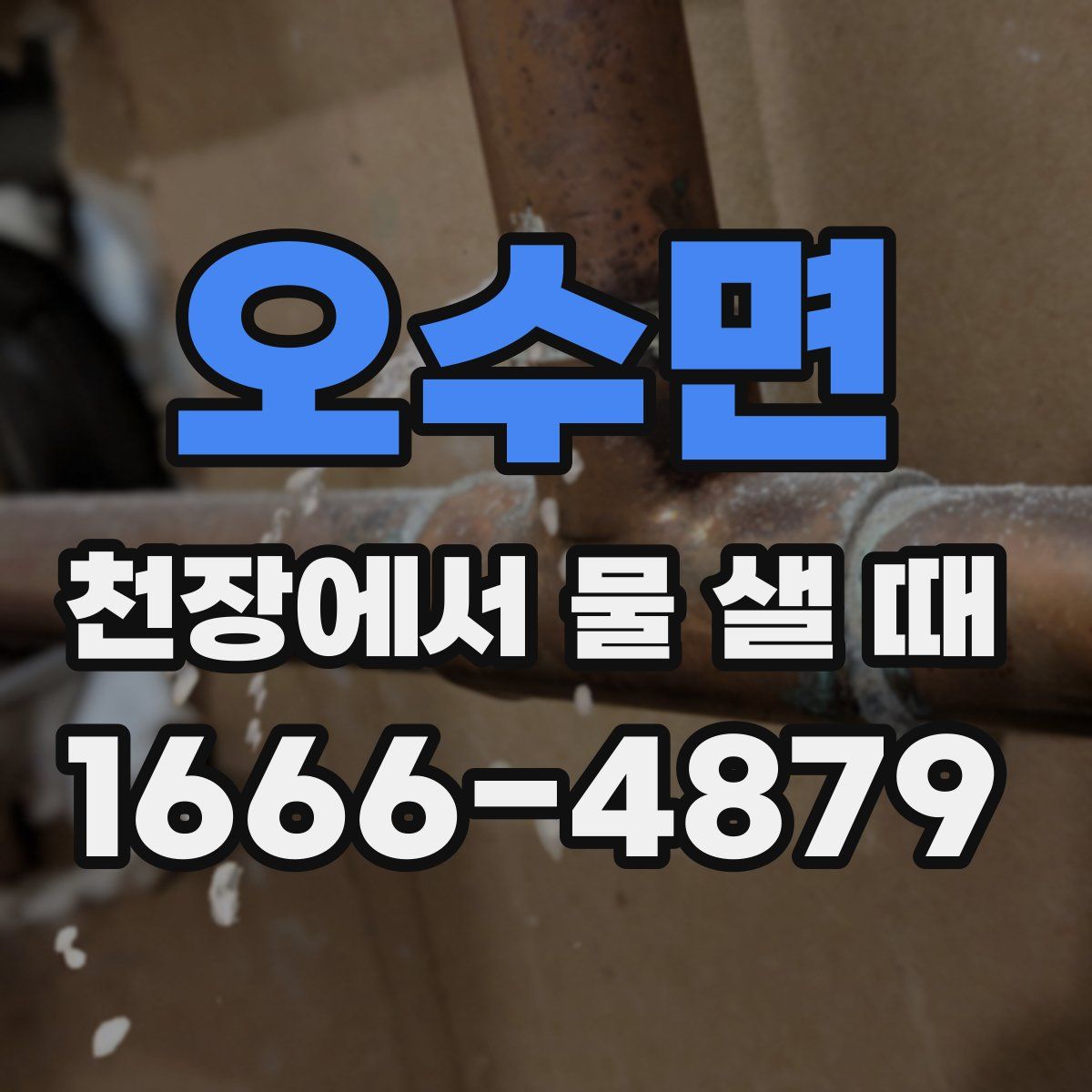 오수면 천장에서 물 샐 때