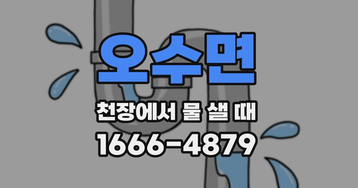 오수면 천장에서 물 샐 때