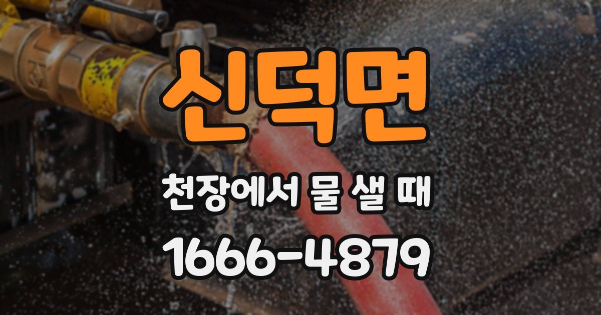 신덕면 천장에서 물 샐 때