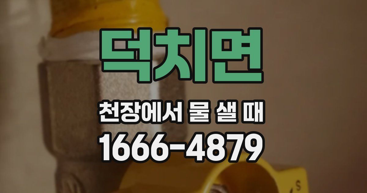 덕치면 천장에서 물 샐 때