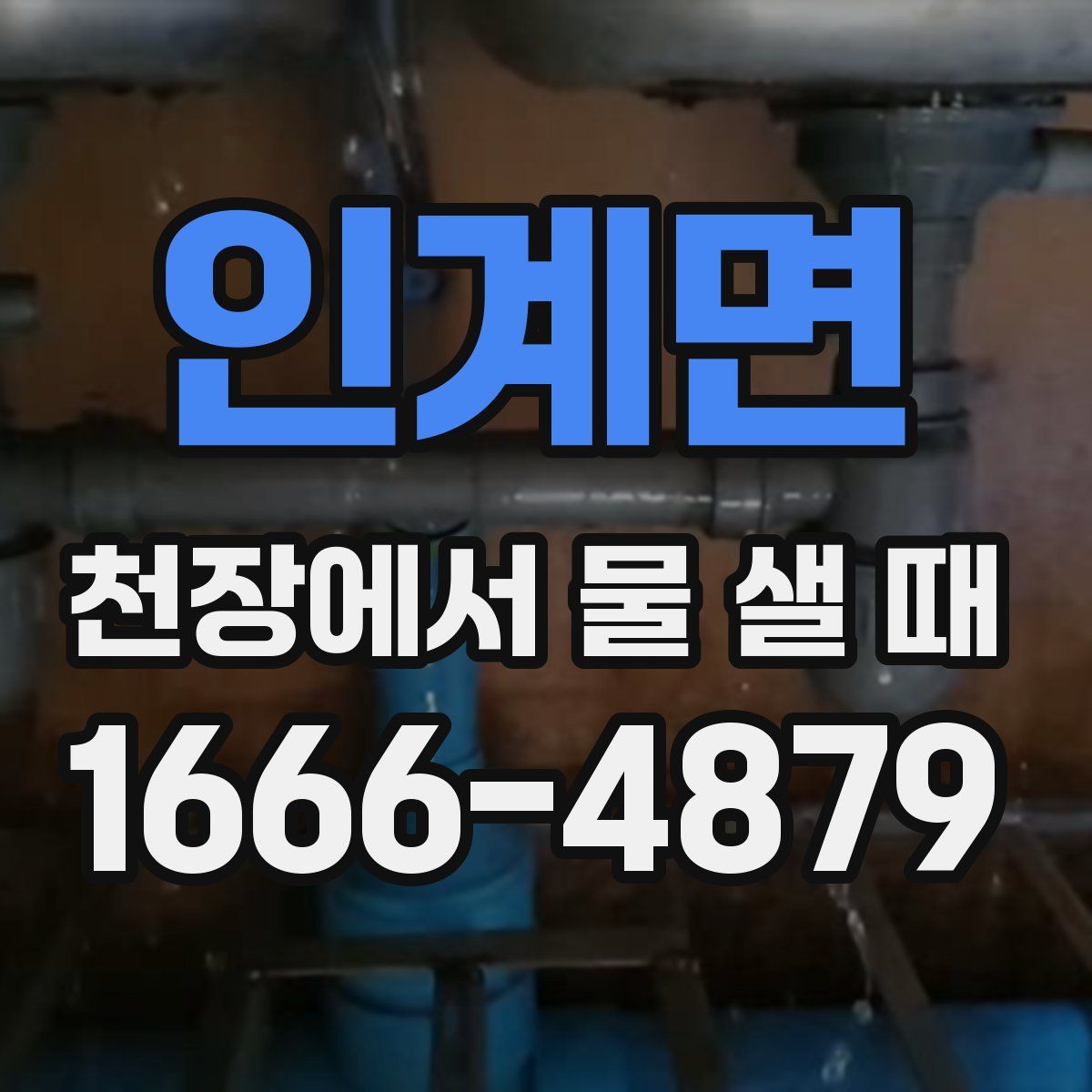 인계면 천장에서 물 샐 때