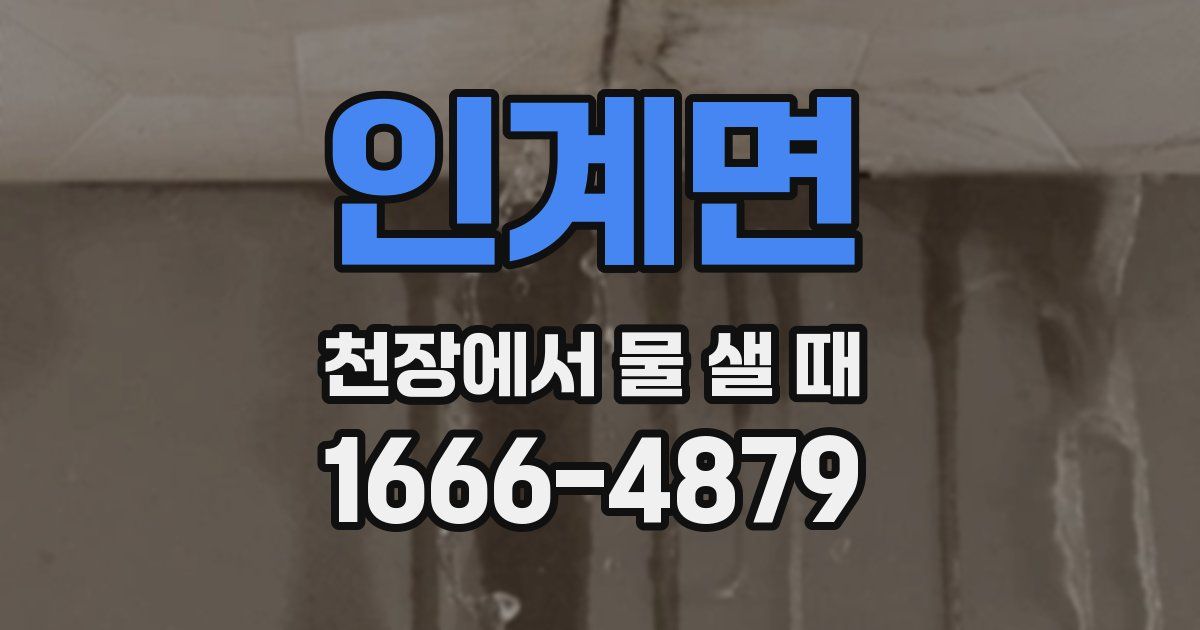 인계면 천장에서 물 샐 때