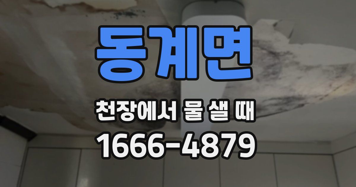 동계면 천장에서 물 샐 때