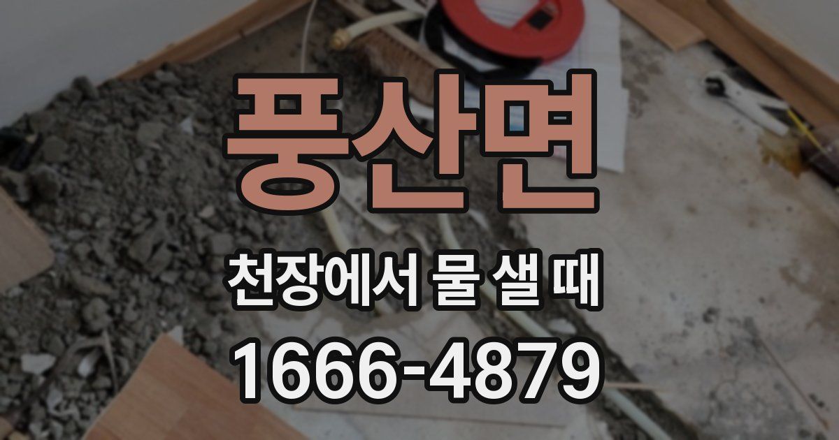 풍산면 천장에서 물 샐 때