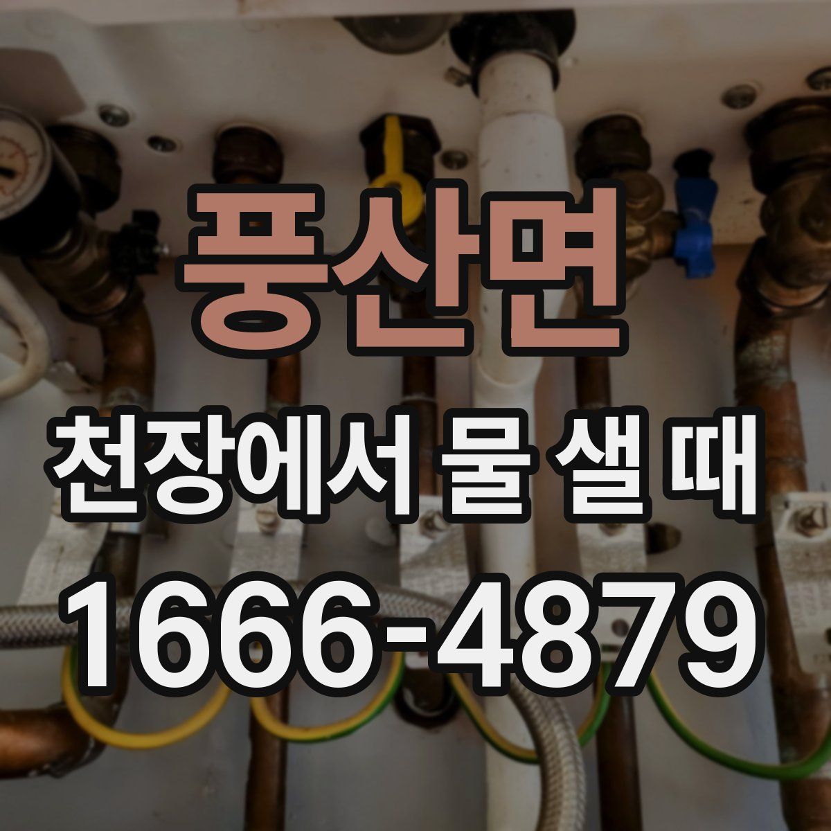 풍산면 천장에서 물 샐 때