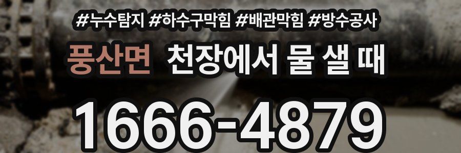 풍산면 천장에서 물 샐 때
