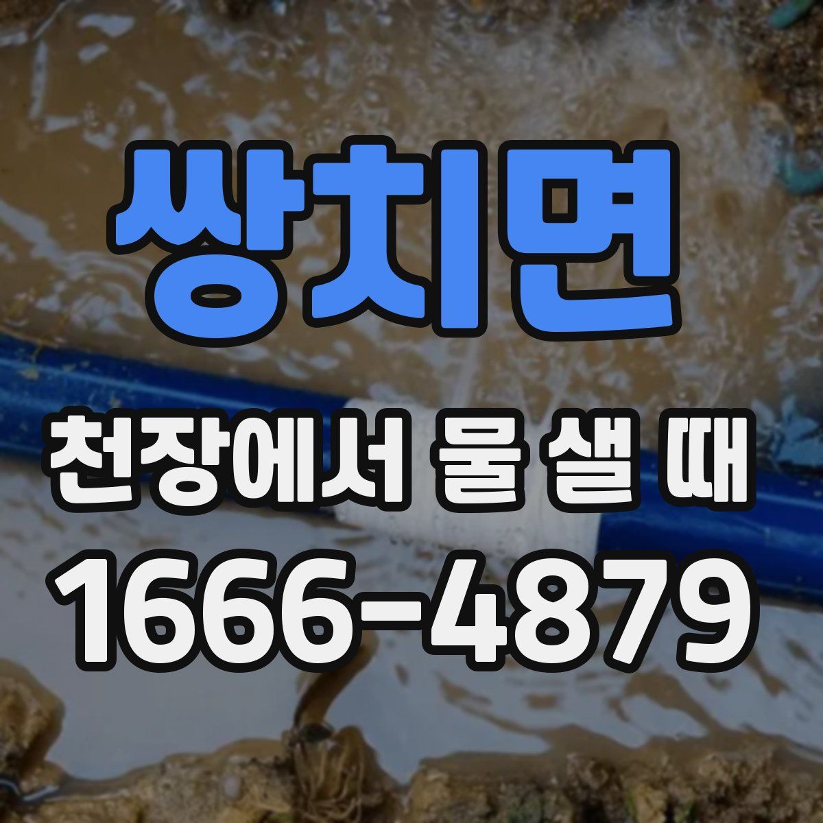 쌍치면 천장에서 물 샐 때