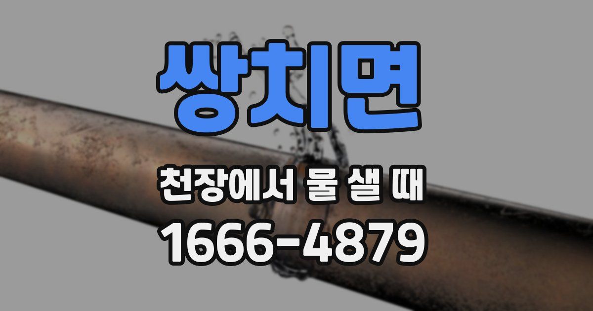 쌍치면 천장에서 물 샐 때