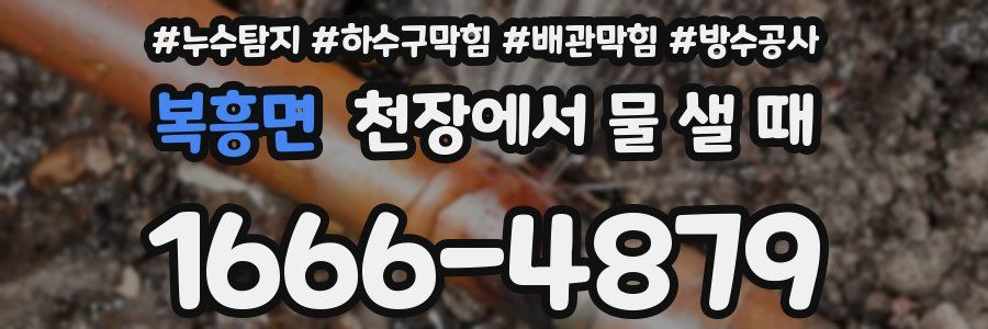 복흥면 천장에서 물 샐 때