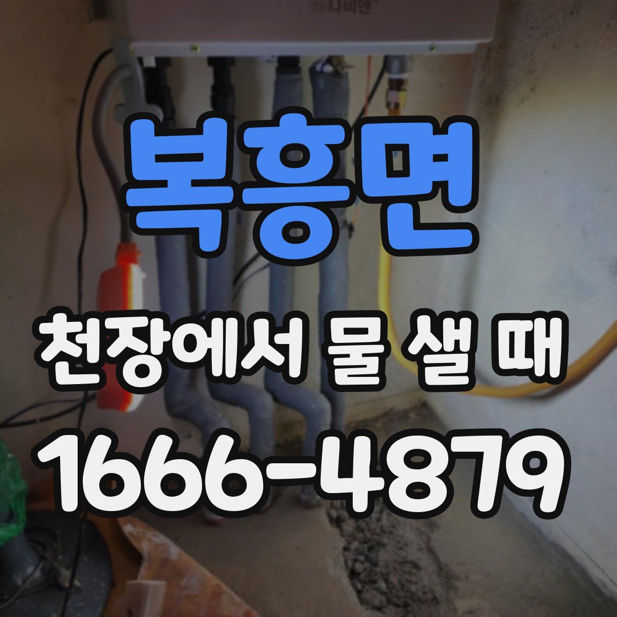 복흥면 천장에서 물 샐 때