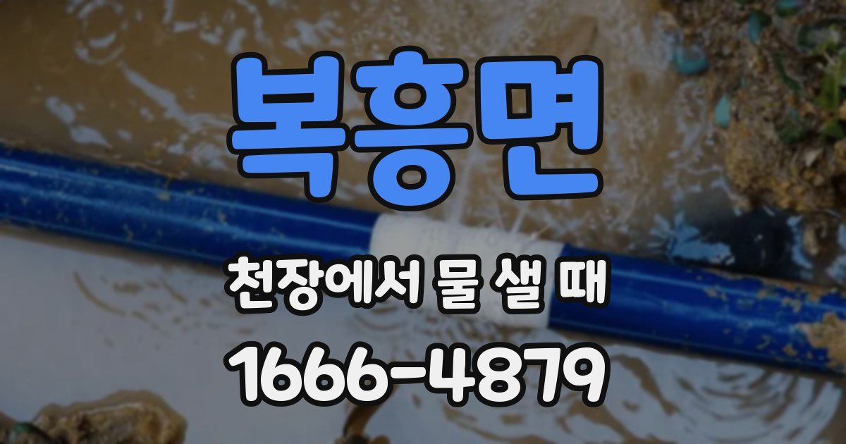 복흥면 천장에서 물 샐 때