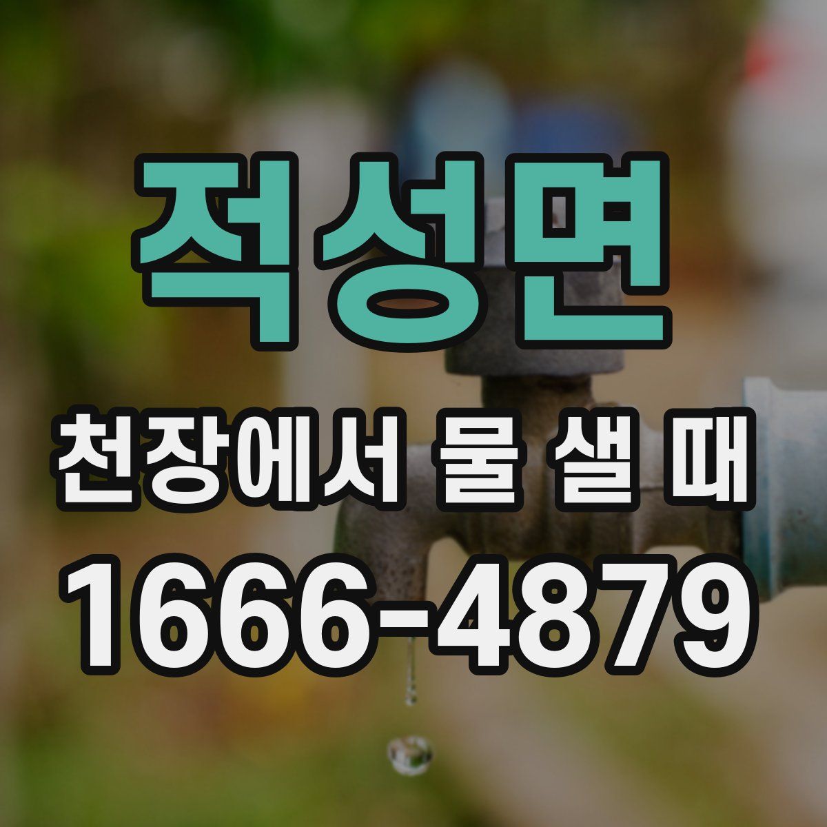 적성면 천장에서 물 샐 때