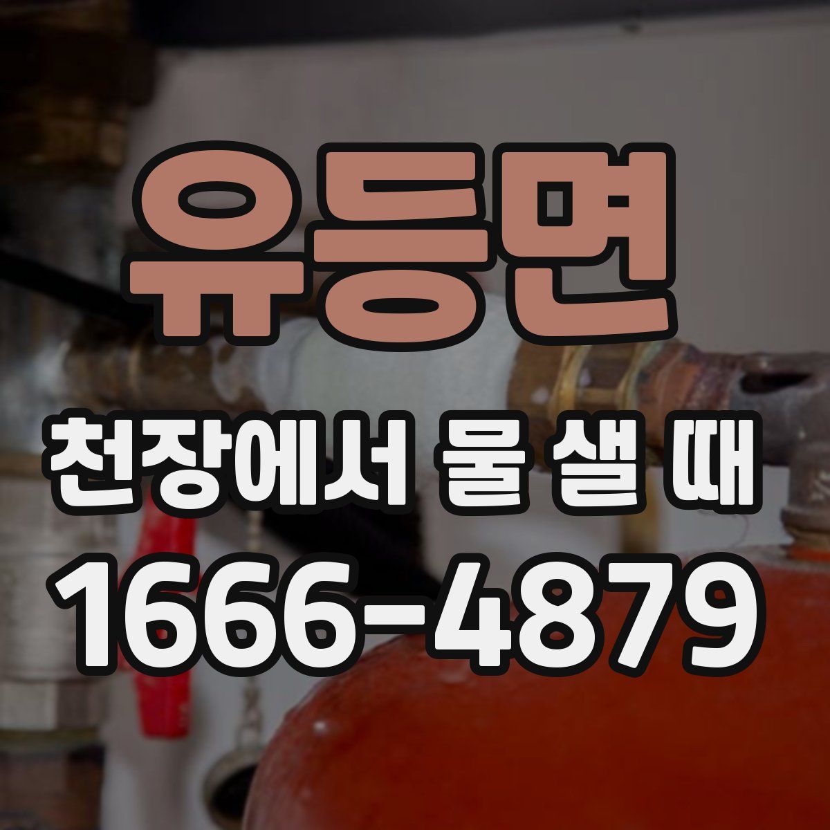 유등면 천장에서 물 샐 때