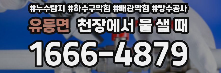 유등면 천장에서 물 샐 때
