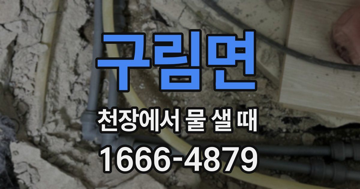구림면 천장에서 물 샐 때