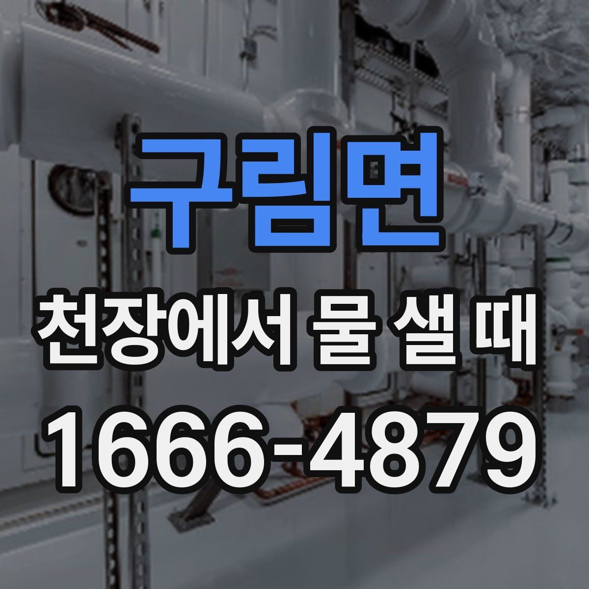 구림면 천장에서 물 샐 때