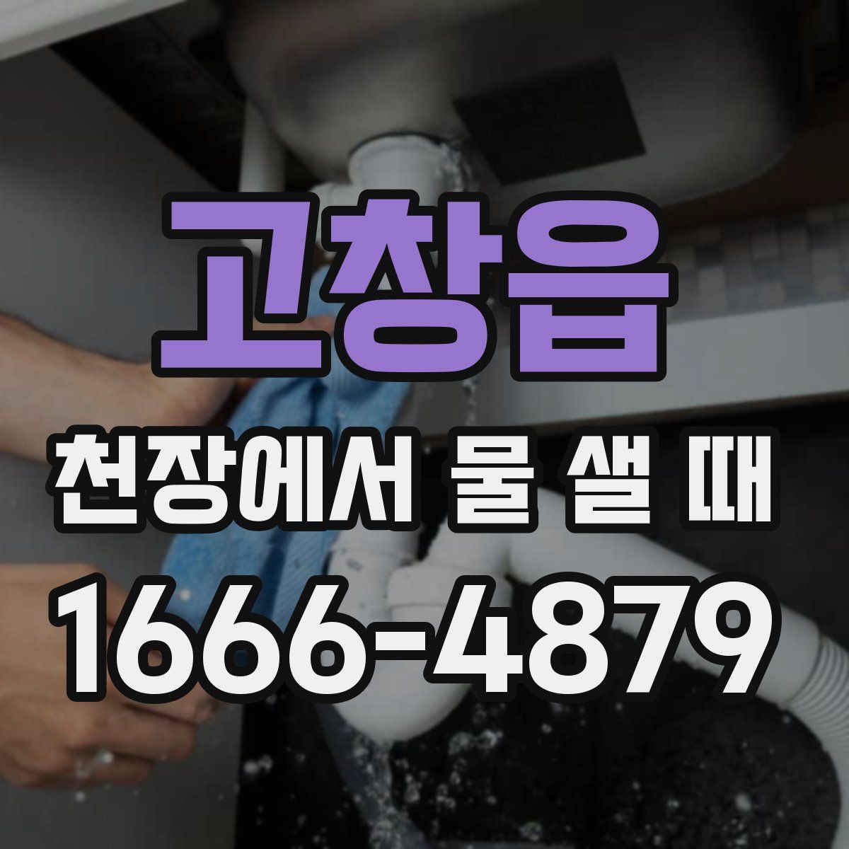 고창읍 천장에서 물 샐 때
