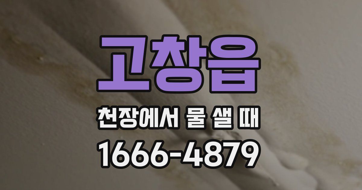 고창읍 천장에서 물 샐 때