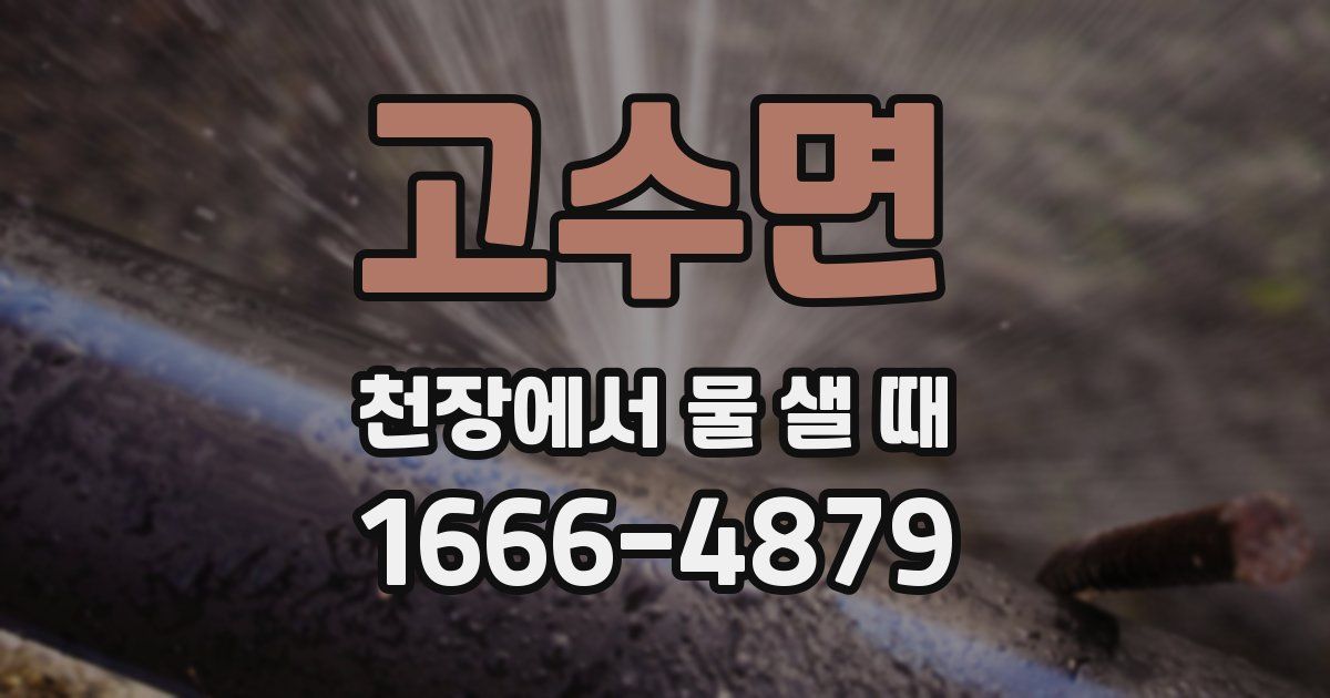고수면 천장에서 물 샐 때