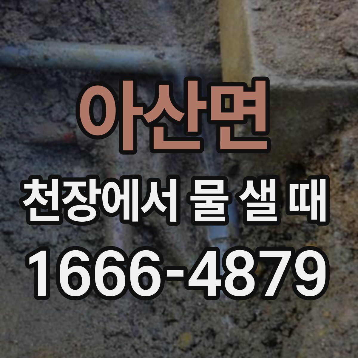 아산면 천장에서 물 샐 때