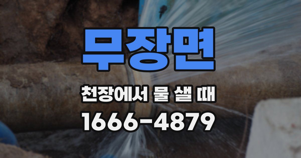 무장면 천장에서 물 샐 때