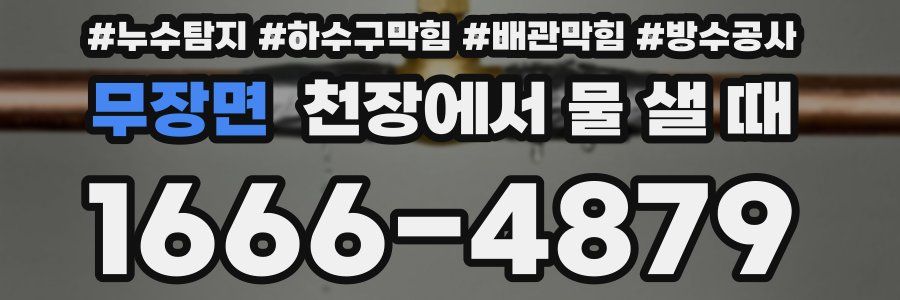 무장면 천장에서 물 샐 때