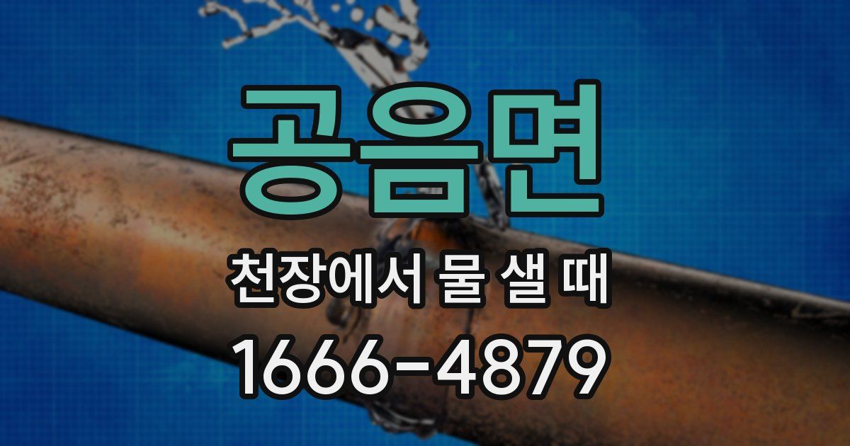 공음면 천장에서 물 샐 때
