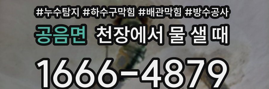 공음면 천장에서 물 샐 때